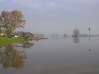 NL, Gelderland, Rheden, Havikerwaard 22, Saxifraga-Henk Sierdsema