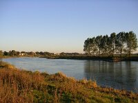 NL, Gelderland, Rheden, Havikerwaard 6, Saxifraga-Henk Sierdsema