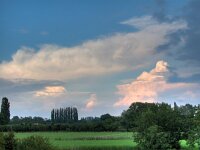 NL, Gelderland, Wageningen, Grebbedijk 1, Saxifraga-Bart Vastenhouw