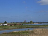 NL, Gelderland, Zaltbommel, Breemwaard 23, Saxifraga-Hans Boll