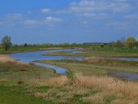 NL, Gelderland, Zaltbommel, Breemwaard 25, Saxifraga-Hans Boll