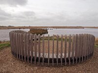 NL, Groningen, Het Hogeland, Lauwersmeer 5, Saxifraga-Hans Dekker