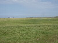NL, Groningen, Het Hogeland, Noordpolderzijl 11, Saxifraga-Willem van Kruijsbergen