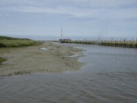 NL, Groningen, Het Hogeland, Noordpolderzijl 9, Saxifraga-Willem van Kruijsbergen