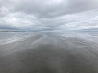 NL, Groningen, Het Hogeland, Pieterburen 39, Saxifraga-Willem van Kruijsbergen