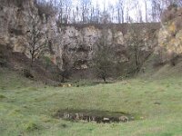 NL, Limburg, Eijsden-Margraten, Julianagroeve 2, Saxifraga-Mark Zekhuis