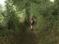NL, Limburg, Eijsden-Margraten, Noorbeek 2, Saxifraga-Jan van der Straaten