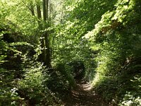 NL, Limburg Gulpen-Wittem 3, Saxifraga-Foto Fitis-Sytske Dijksen