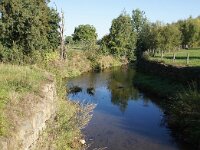 NL, Limburg, Gulpen-Wittem, Geul bij Mechelen 3, Saxifraga-Foto Fitis-Sytske Dijksen