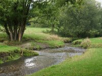NL, Limburg, Gulpen-Wittem, Gulp 2, Saxifraga-Foto Fitis-Sytske Dijksen