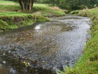 NL, Limburg, Gulpen-Wittem, Gulp 3, Saxifraga-Foto Fitis-Sytske Dijksen