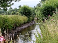 NL, Limburg, Gulpen-Wittem, Volmolen Epen 2, Saxifraga-Foto Fitis-Sytske Dijksen