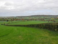 NL, Limburg, Gulpen-Wittem, near Eperheide, Saxifraga-Tom Heijnen