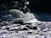 NL, Limburg, Maastricht, Jeker bij Sint Pietersberg 1, Saxifraga-Foto Fitis-Sytske Dijksen