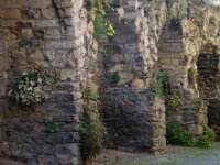 NL, Limburg, Maastricht, Stadsmuur 1, Saxifraga-Foto Fitis-Sytske Dijksen