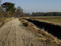 NL, Limburg, Nederweert, Groote Peel 23, Saxifraga-Jan van der Straaten