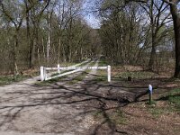 NL, Limburg, Venray, Maasduinen 1, Saxifraga-Peter Meininger