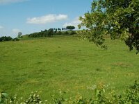 NL, Limburg, Voerendaal, Vrakelberg 5, Saxifraga-Willem van Kruijsbergen