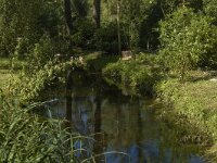NL, Limburg, Weert, De IJzeren Man 10, Saxifraga-Marijke Verhagen