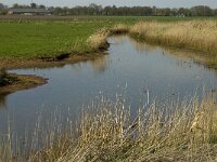 NL, Limburg, Weert, Heijkersbroek 3, Saxifraga-Jan van der Straaten