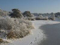 NL, Noord-Brabant, Alphen-Chaam, Goudberg 22, Saxifraga-Jan van der Straaten