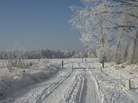 NL, Noord-Brabant, Alphen-Chaam, Strijbeekse Heide 7,  Saxifraga-Jan van der Straaten