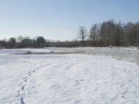 NL, Noord-Brabant, Alphen-Chaam, de Hoevens 44, Saxifraga-Willem van Kruijsbergen