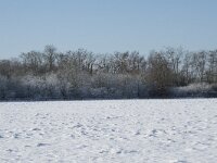 NL, Noord-Brabant, Alphen-Chaam, de Hoevens 57, Saxifraga-Willem van Kruijsbergen