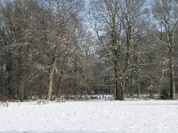 NL, Noord-Brabant, Alphen-Chaam, de Hoevens 58, Saxifraga-Willem van Kruijsbergen