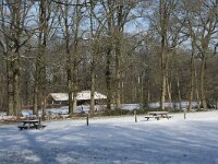 NL, Noord-Brabant, Alphen-Chaam, de Hoevens 59, Saxifraga-Willem van Kruijsbergen