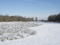 NL, Noord-Brabant, Alphen-Chaam, de Hoevens 70, Saxifraga-Willem van Kruijsbergen