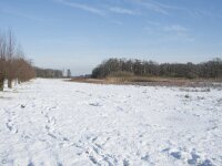 NL, Noord-Brabant, Alphen-Chaam, de Hoevens 75, Saxifraga-Willem van Kruijsbergen