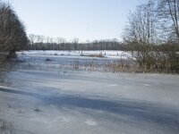 NL, Noord-Brabant, Alphen-Chaam, de Hoevens 90, Saxifraga-Willem van Kruijsbergen