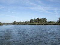 NL, Noord-Brabant, Altena, Gat van den Hardenhoek 49, Saxifraga-Willem van Kruijsbergen