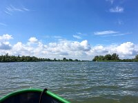 NL, Noord-Brabant, Altena, Gat van den Kleinen Hil 78, Saxifraga-Bart Vastenhouw