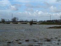 NL, Noord-Brabant, Altena, Kleine Muggenwaard 6, Saxifraga-Jan van der Straaten