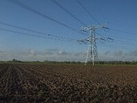 NL, Noord-Brabant, Altena, Middelste Kievitswaard 2, Saxifraga-Jan van der Straaten