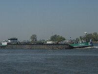 NL, Noord-Brabant, Altena, Nieuwe Merwede 20, Saxifraga-Jan van der Straaten