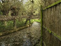 NL, Noord-Brabant, Altena, Pompveld 5, Saxifraga-Jan van der Straaten