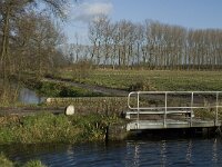 NL, Noord-Brabant, Bergeijk, Beekloop 10, Saxifraga-Marijke Verhagen