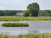 NL, Noord-Brabant, Bergeijk, Klisserbeemden 2, Saxifraga-Tom Heijnen