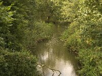 NL, Noord-Brabant, Boxtel, Kampina, Beerze 11, Saxifraga-Jan van der Straaten