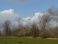 NL, Noord-Brabant, Boxtel, Rooije Steeg 1, Saxifraga-Jan van der Straaten