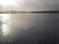 NL, Noord-Brabant, Cranendonck, Gastelsche Heide (Oude Strijper Aa) 12, Saxifraga-Tom Heijnen