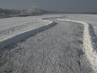 NL, Noord-Brabant, Cranendonck, Soerendonks Goor 10, Saxifraga-Jan van der Straaten