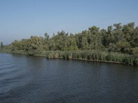 NL, Noord-Brabant, Drimmelen, Amer 1, Saxifraga-Willem van Kruijsbergen