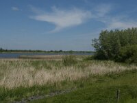 NL, Noord-Brabant, Drimmelen, Amer 20, Saxifraga-Jan van der Straaten