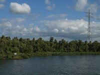 NL, Noord-Brabant, Drimmelen, Amer 34, Saxifraga-Jan van der Straaten