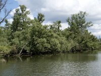 NL, Noord-Brabant, Drimmelen, Gat van de Vloeien 27, Saxifraga-Willem van Kruijsbergen