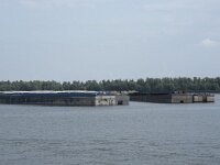 NL, Noord-Brabant, Drimmelen, Lage Zwaluwe 1, Saxifraga-Willem van Kruijsbergen